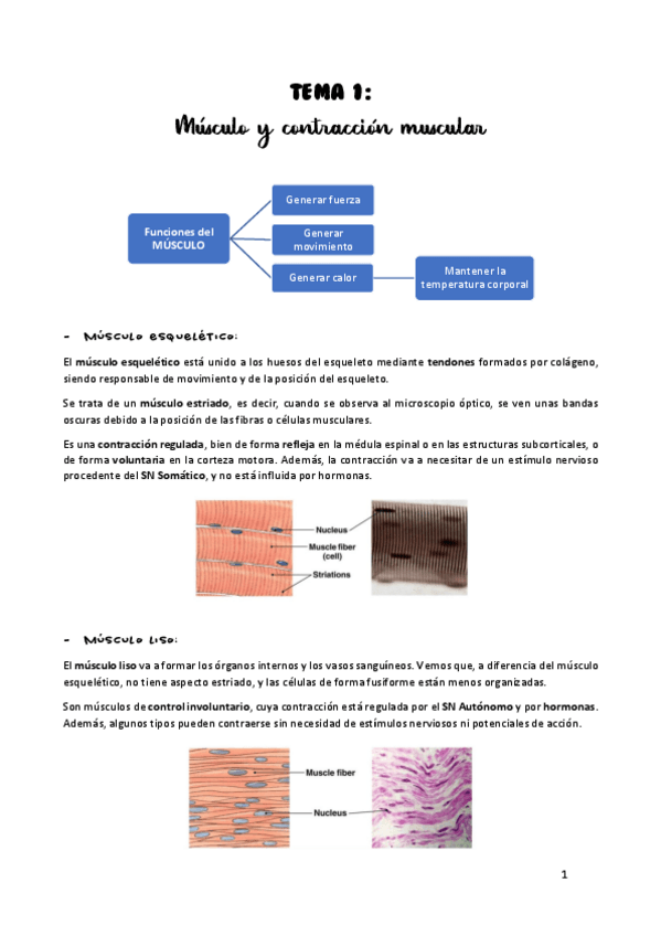 Miniatura del documento TEMA-1.pdf