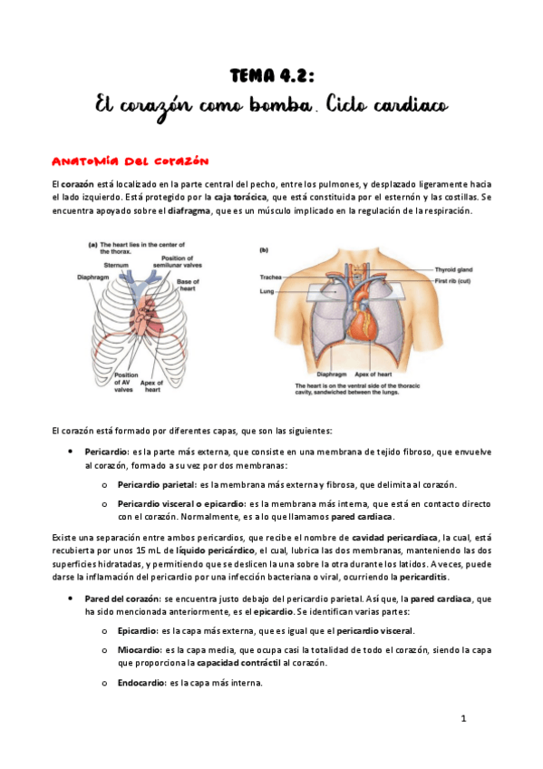 Miniatura del documento TEMA-4.pdf