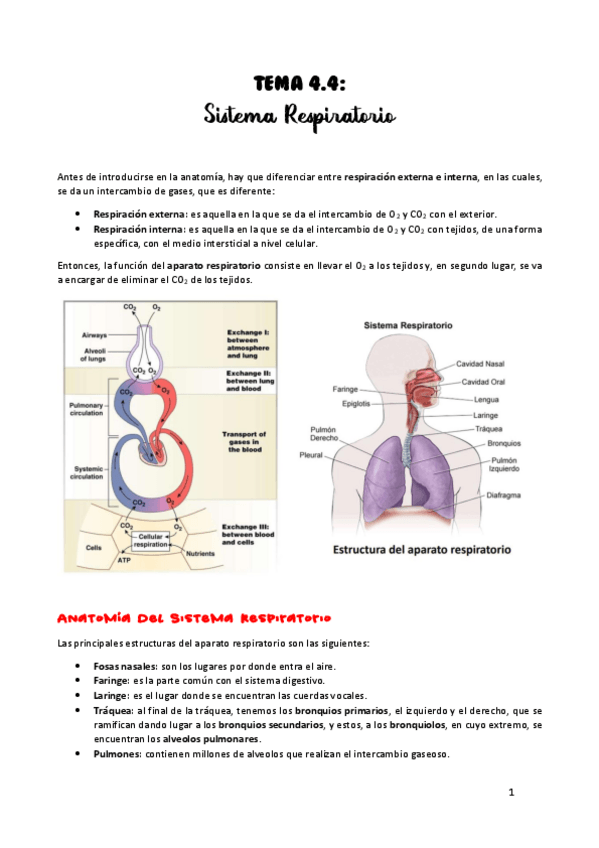 Miniatura del documento TEMA-4.pdf
