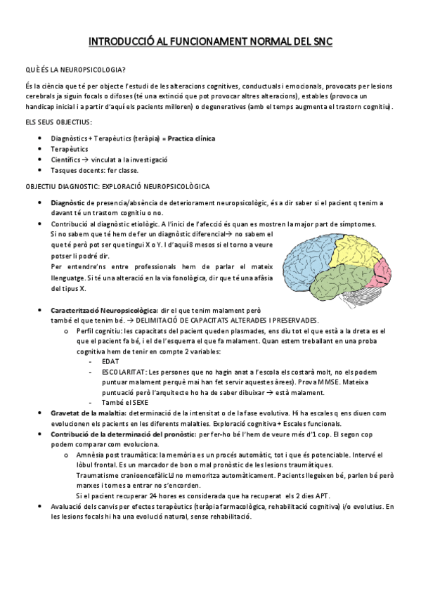 Miniatura del documento APUNTS.pdf