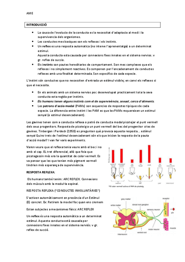 Miniatura del documento APUNTS-BONS.pdf