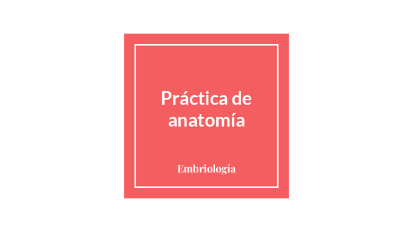 Miniatura del documento Practica-de-embriologia.pdf