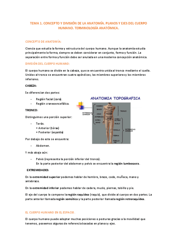 Miniatura del documento TEMA 1.pdf