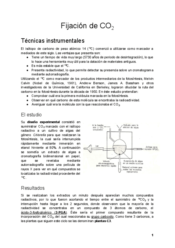 Miniatura del documento Tema-16.pdf