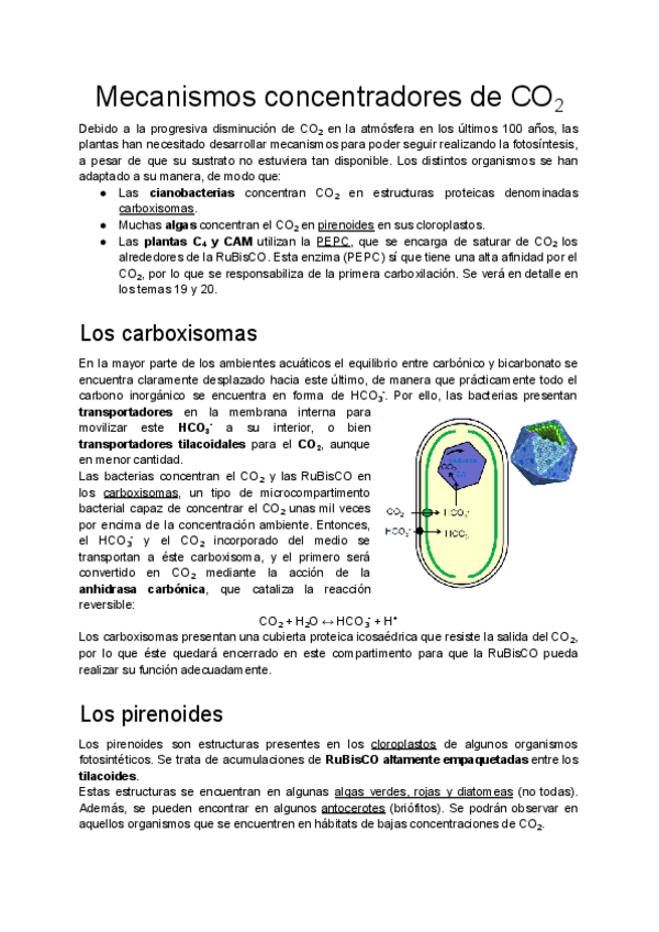 Miniatura del documento Tema-18.pdf