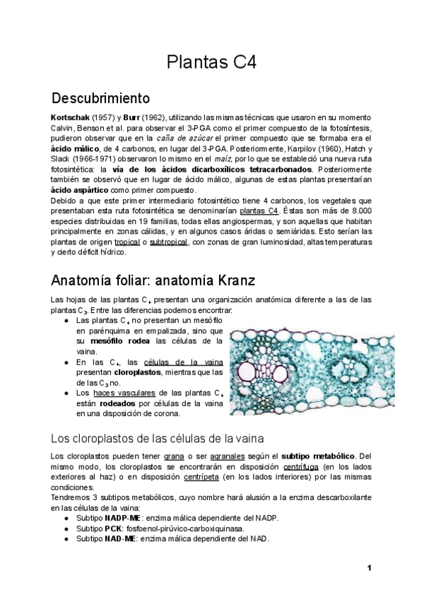 Miniatura del documento Tema-19.pdf