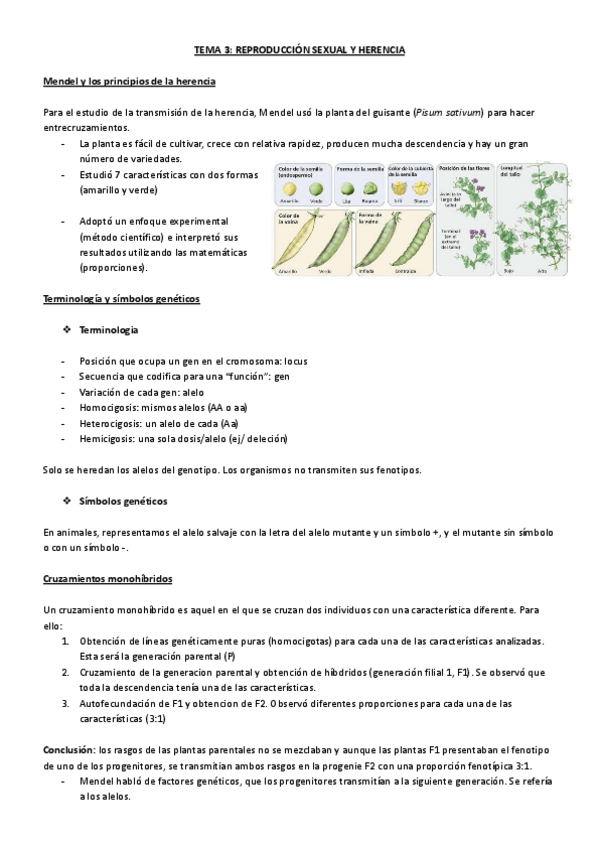 Miniatura del documento TEMA-3-REPRODUCCION-SEXUAL-Y-HERENCIA.pdf