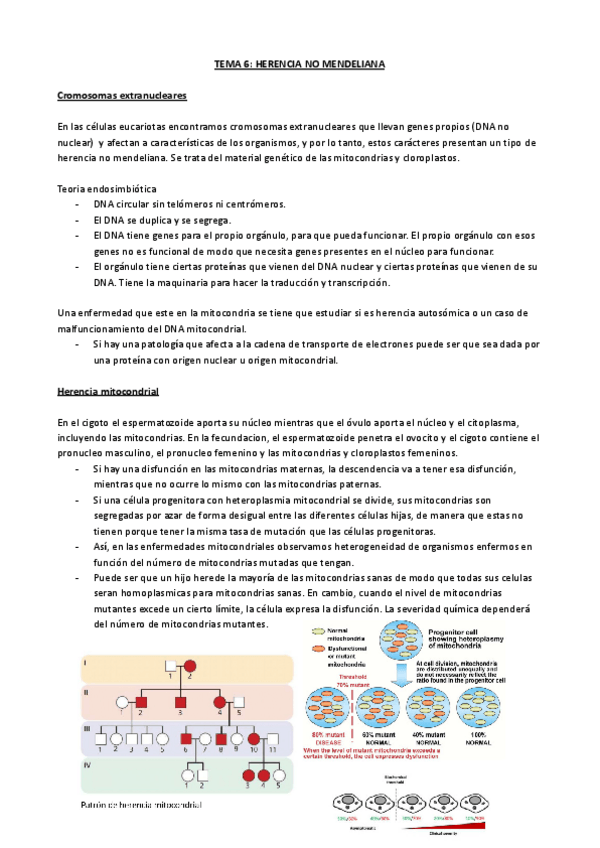 Miniatura del documento TEMA-6-HERENCIA-NO-MENDELIANA.pdf