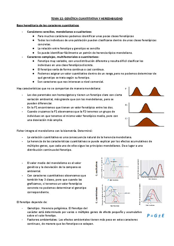 Miniatura del documento TEMA-12-GENETICA-CUANTITATIVA.pdf