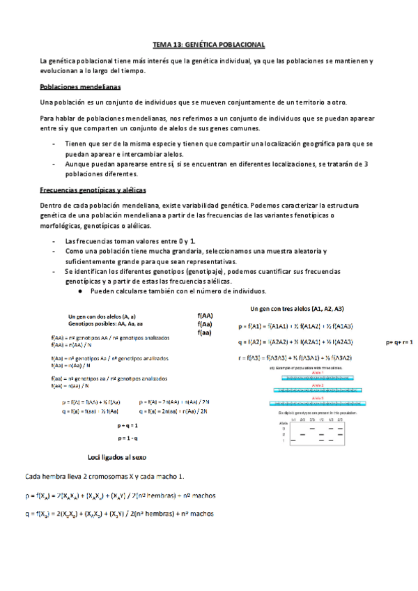 Miniatura del documento TEMA-13-GENETICA-POBLACIONAL.pdf