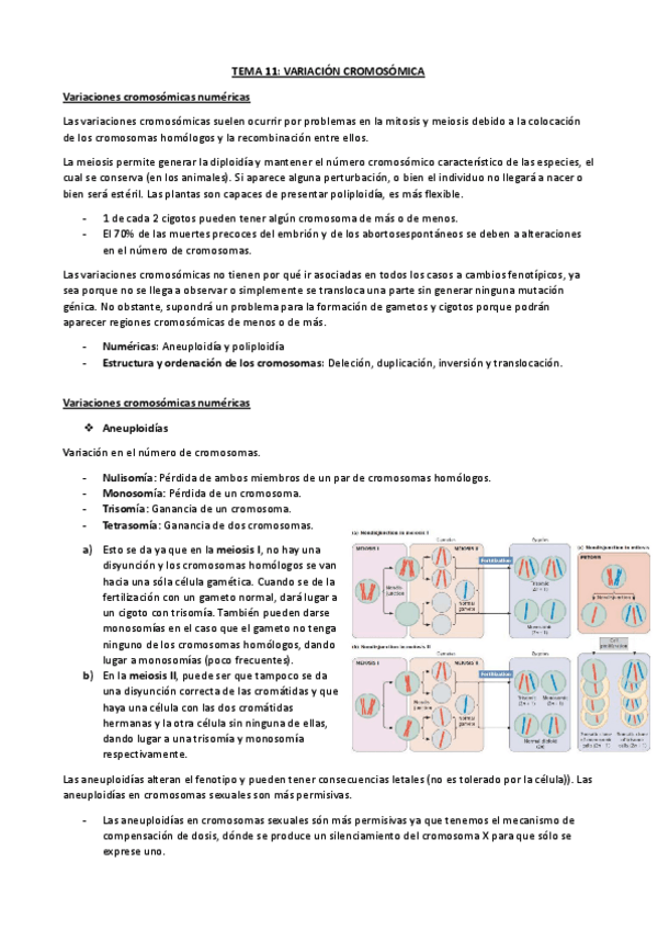 Miniatura del documento TEMA-11-VARIACION-CROMOSOMICA-Y-MUTACIONES-GENICAS.pdf