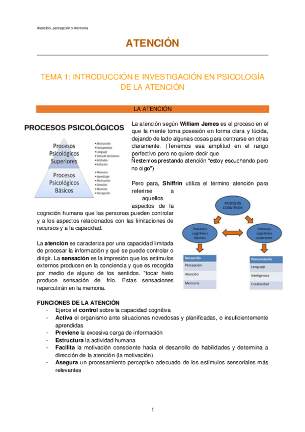 Miniatura del documento Atencion-Percepcion-y-memoria.pdf