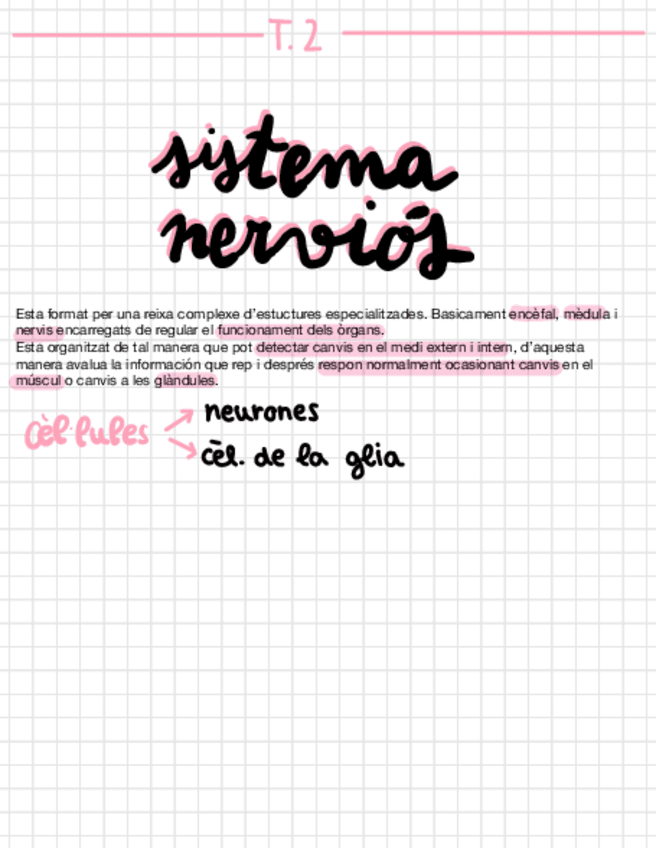 Miniatura del documento T-2-Sistema-Nervios-.pdf