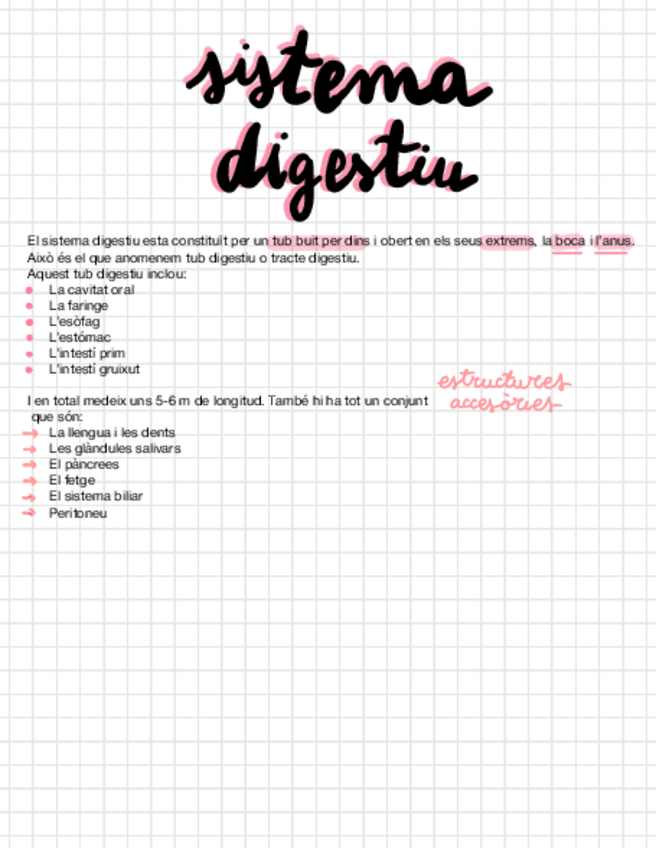 Miniatura del documento T-4-Sistema-Digestiu.pdf