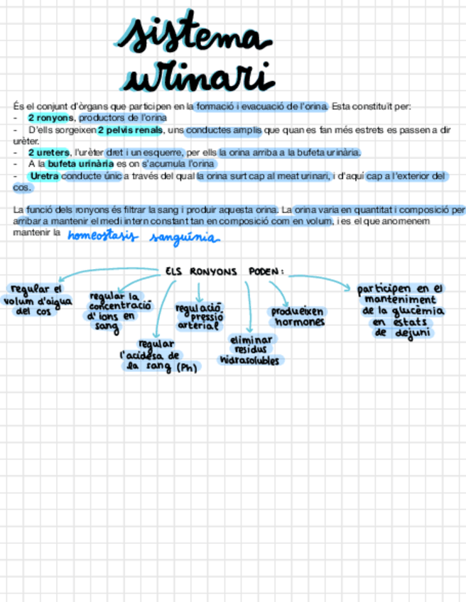 Miniatura del documento T-8-Sistema-Urinari.pdf