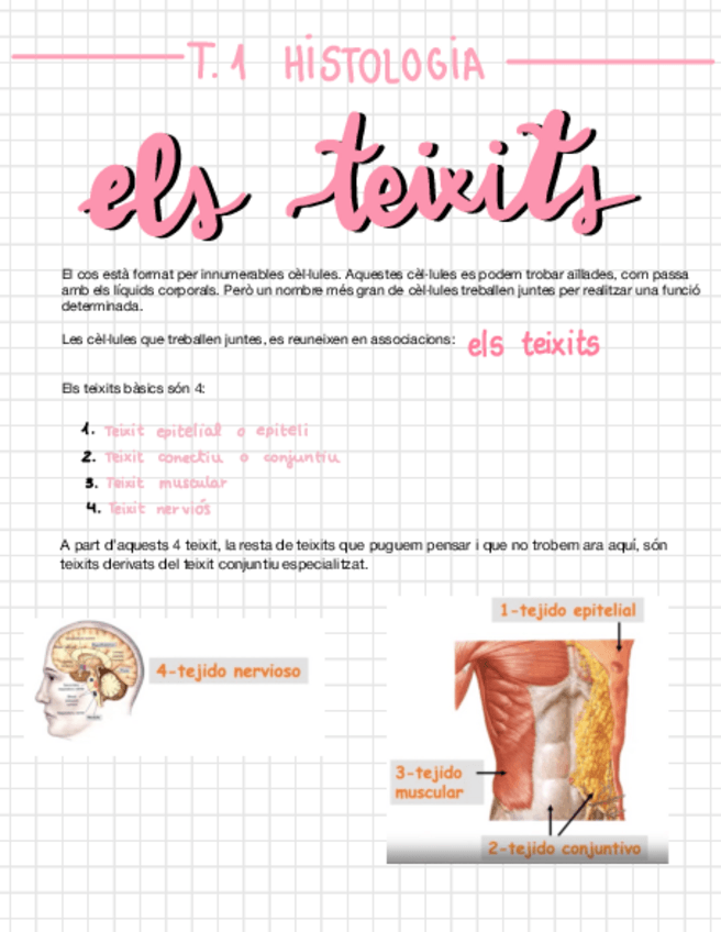 Miniatura del documento T-1-HISTOLOGIA.pdf