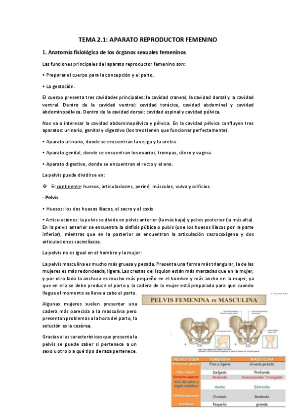 Miniatura del documento TEMA-2.pdf
