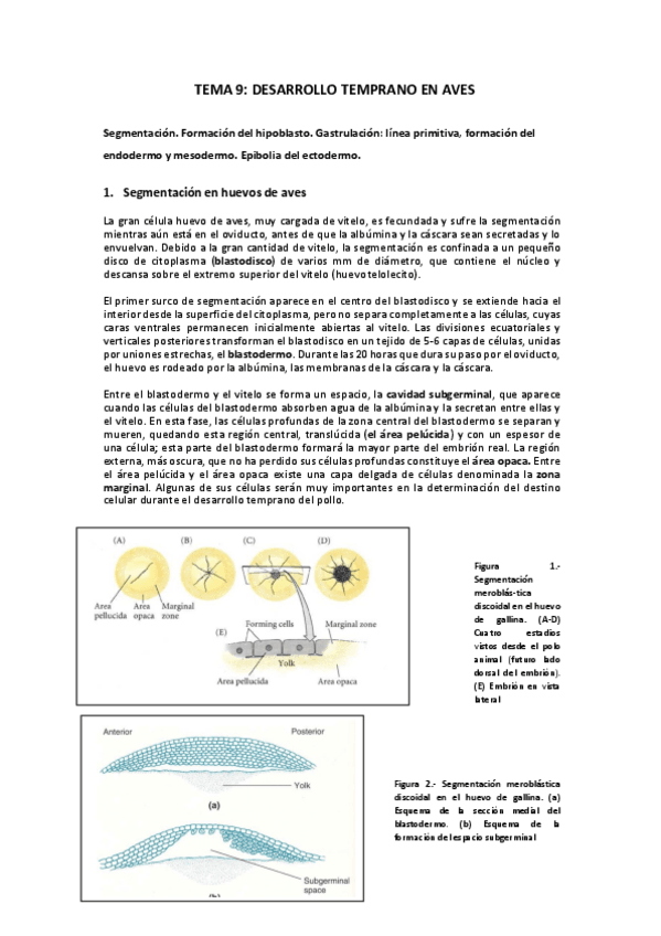 Miniatura del documento TEMA-9.pdf