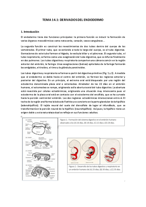 Miniatura del documento TEMA-14.pdf