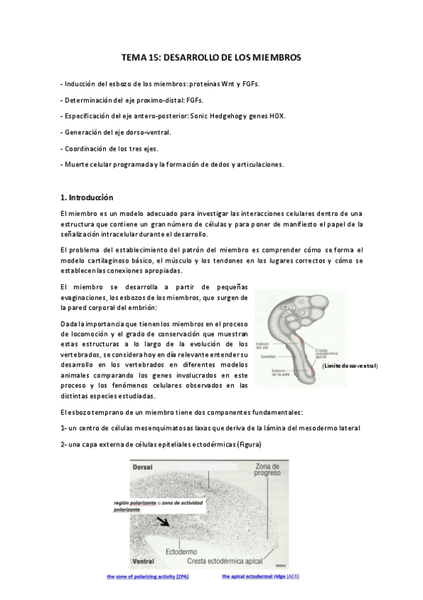 Miniatura del documento TEMA-15.pdf