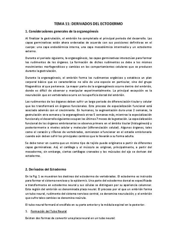 Miniatura del documento TEMA-11.pdf
