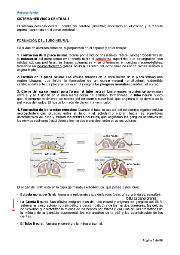 Miniatura del documento Apuntes-Organo-I.pdf