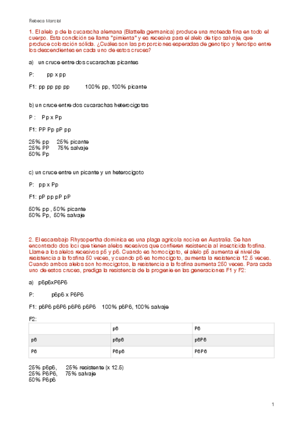 Miniatura del documento seminario-1.pdf