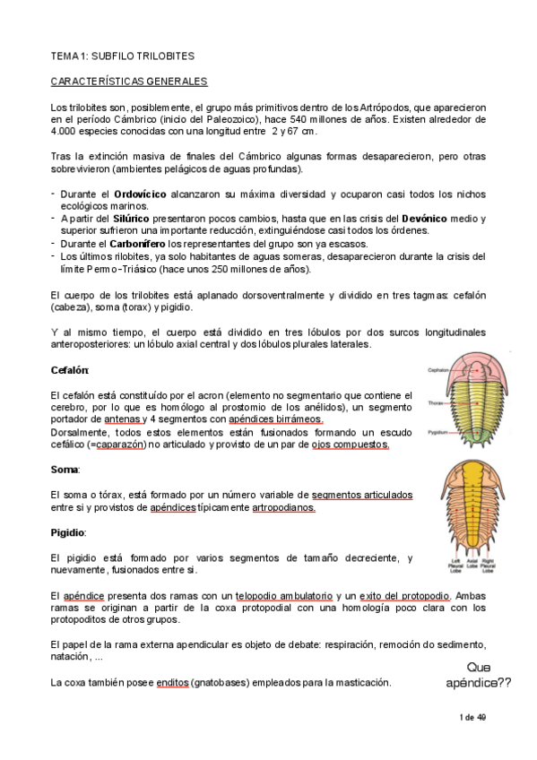 Miniatura del documento Zoologia-II-todo-pdf.pdf