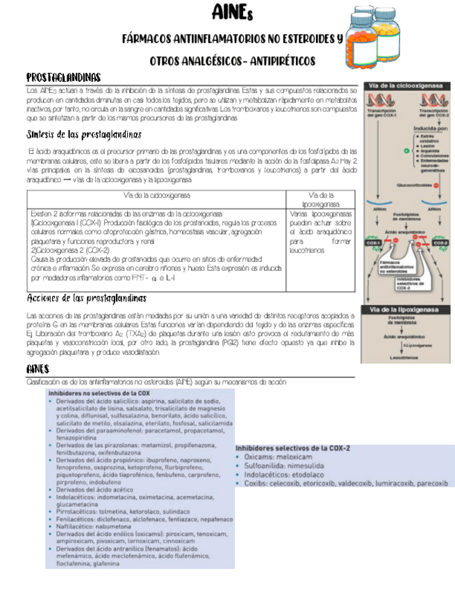 Miniatura del documento AINES.pdf