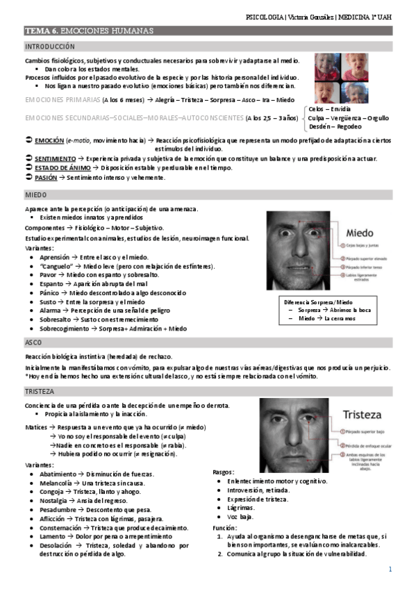 Miniatura del documento TEMA-6.pdf