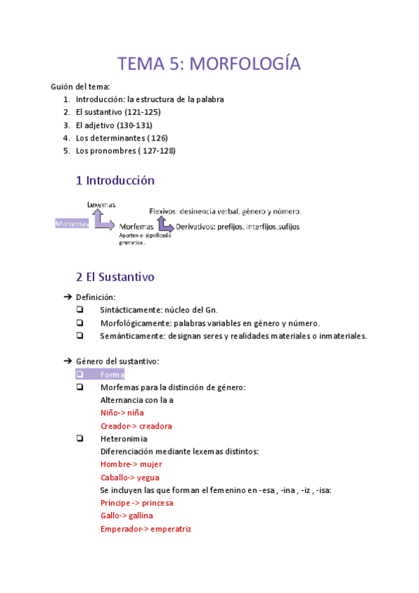 Miniatura del documento Temas-5-y-6--Morfologia-2.pdf