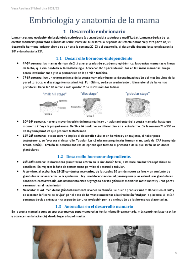 Miniatura del documento Embriologia-y-anatomia-de-la-mama.pdf