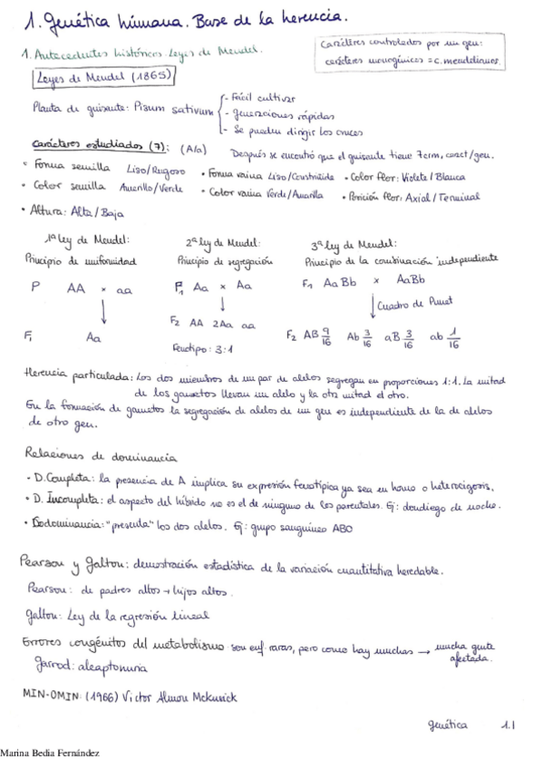 Miniatura del documento Gene-completo.pdf