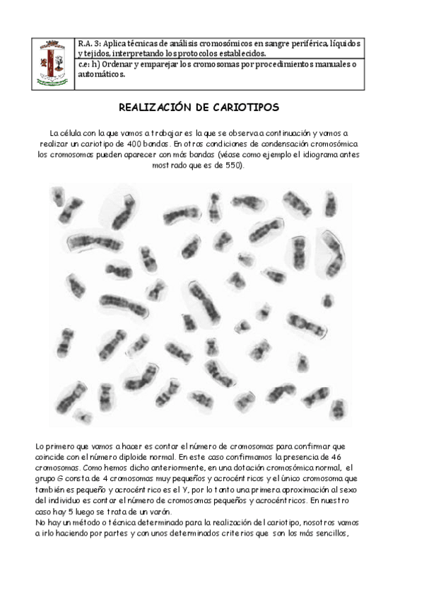 Miniatura del documento REALIZACION-DE-CARIOTIPOS.pdf