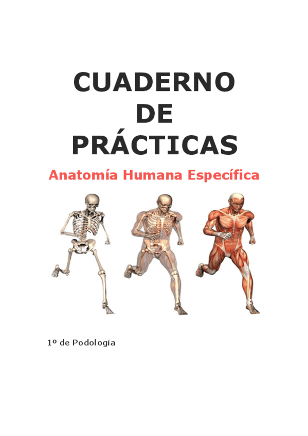 Miniatura del documento CUADERNO DE PRACTICAS.pdf