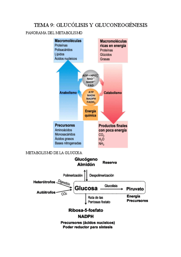 Miniatura del documento Parcial-2-9-19.pdf