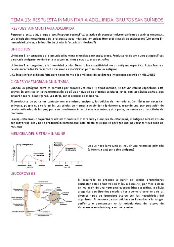 Miniatura del documento Tema-13-Respuesta-inmune-adquirida.pdf