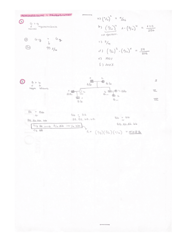 Miniatura del documento Problemes-resolts-genetica.pdf