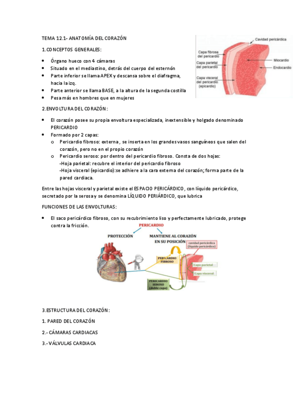 Miniatura del documento TEMA-12.pdf