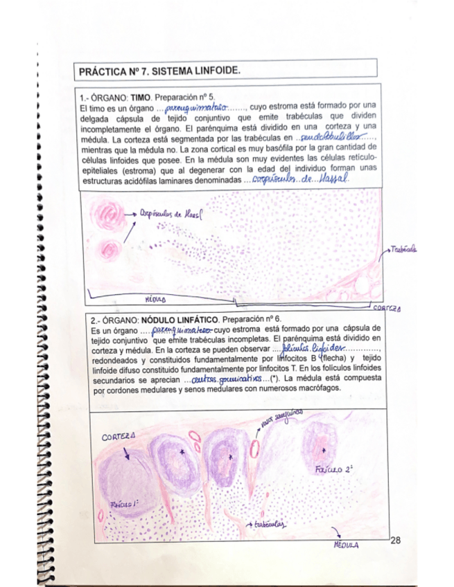 Miniatura del documento Cuaderno-de-citologia-.pdf