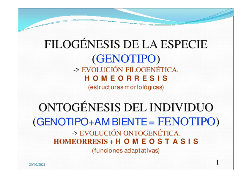 Miniatura del documento 02.pdf