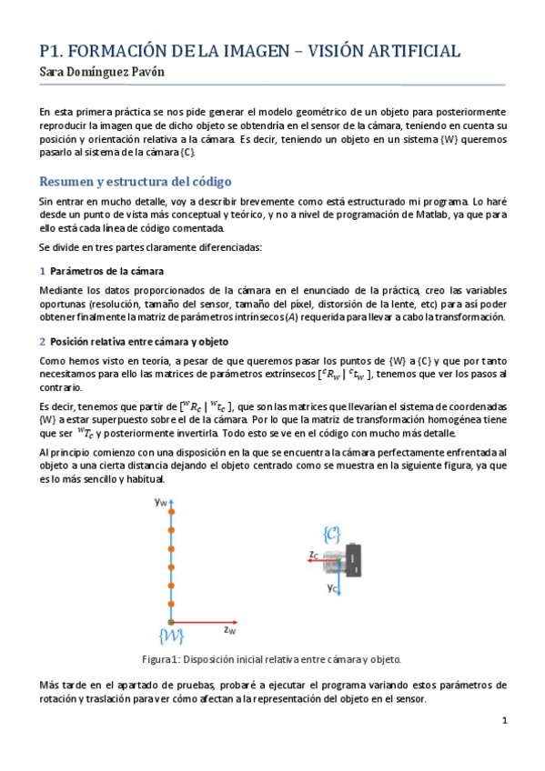 Miniatura del documento memoria_SaraDP.pdf
