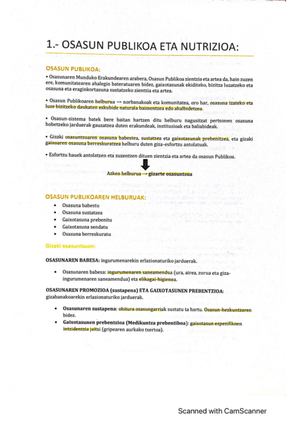 Miniatura del documento osasun-publikoa.pdf