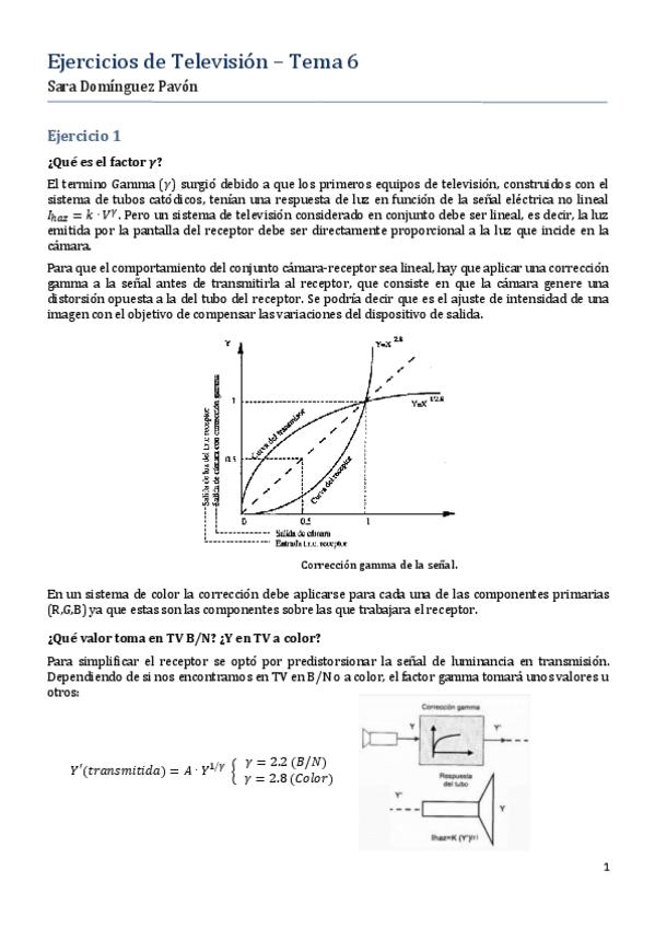 Miniatura del documento 6TV SaraDP.pdf