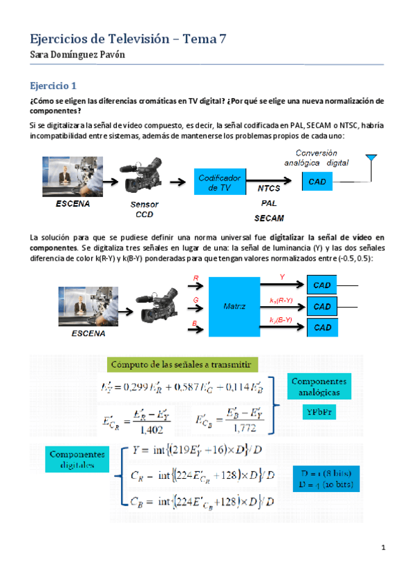 Miniatura del documento 7TV SaraDP.pdf