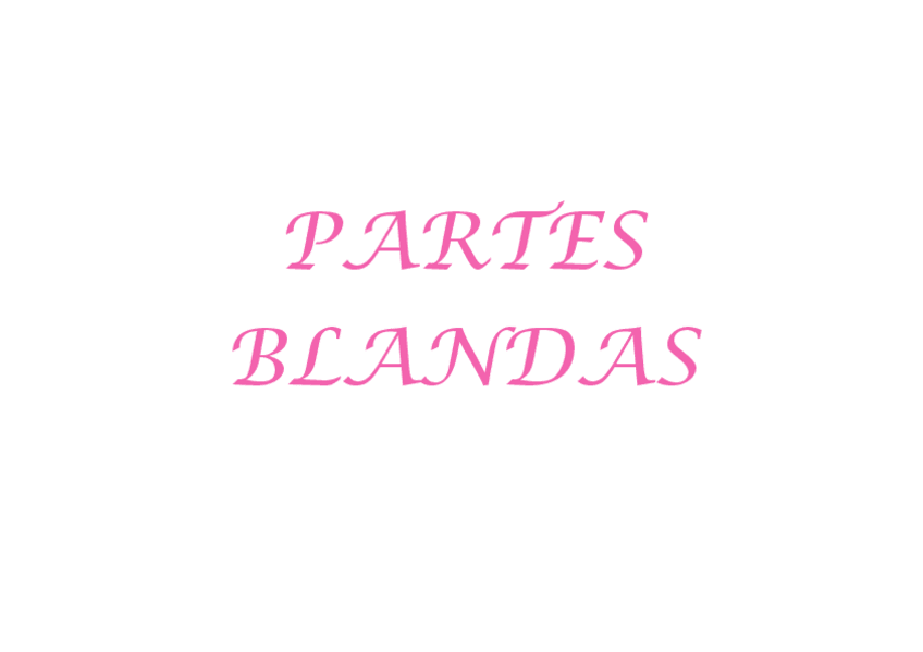 Miniatura del documento TEJIDOS-BLANDOS.pdf