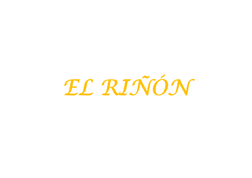 Miniatura del documento EL-RINON.pdf