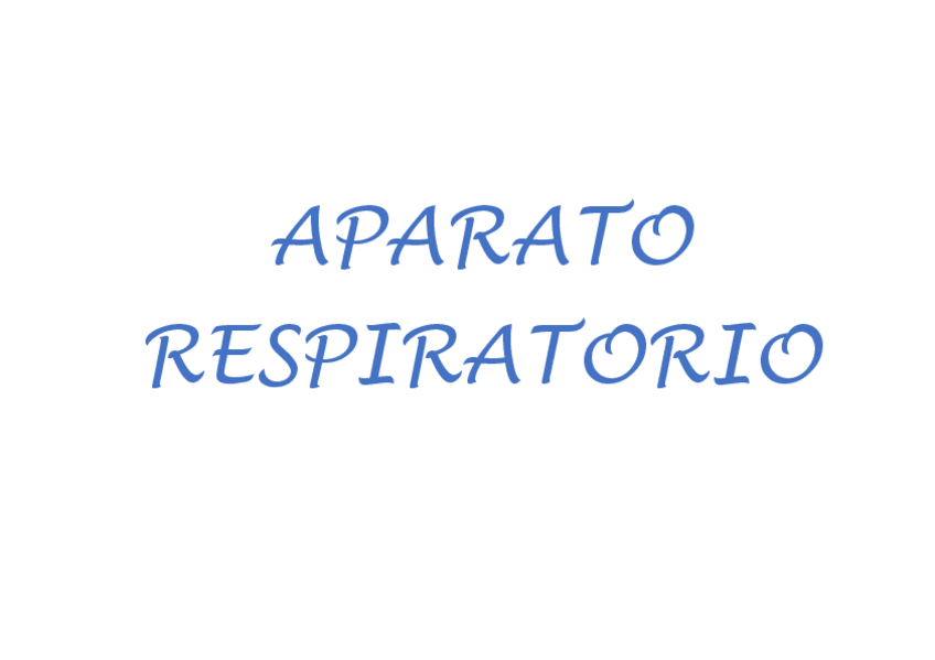 Miniatura del documento APARATO-RESPIRATORIO.pdf