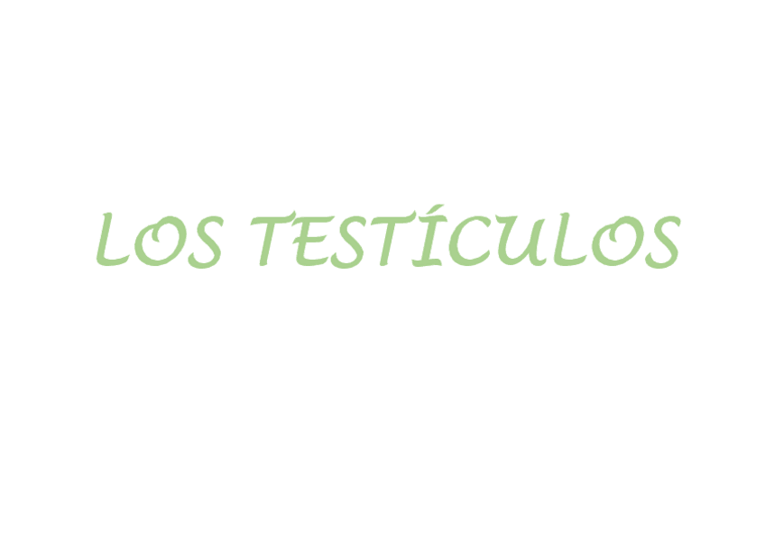 Miniatura del documento TESTICULOS.pdf