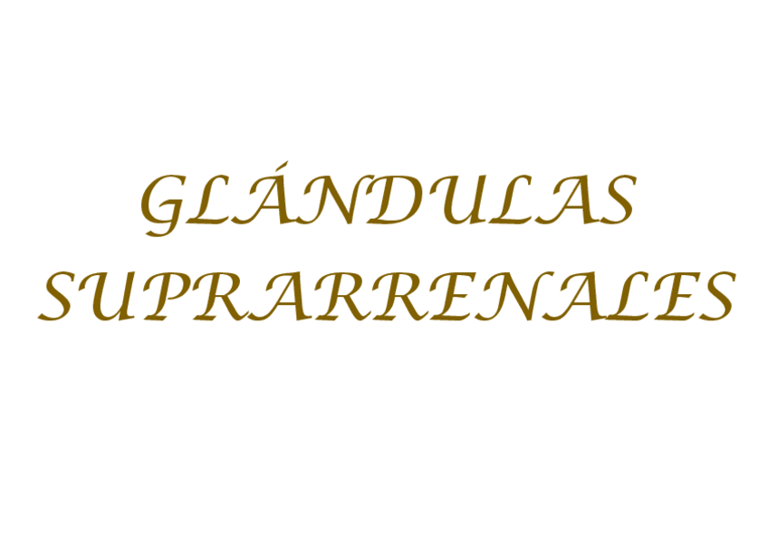 Miniatura del documento GLANDULAS-SUPRARRENALES.pdf